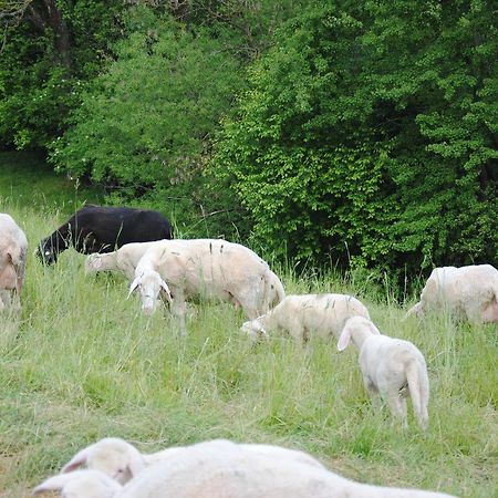 Landgasthof Seyrlberg Reichenau im Mühlkreis エクステリア 写真