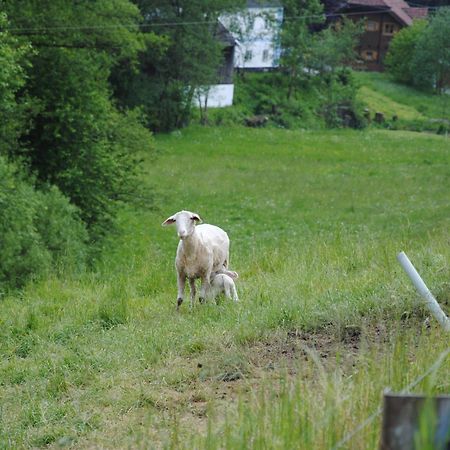 Landgasthof Seyrlberg Reichenau im Mühlkreis エクステリア 写真