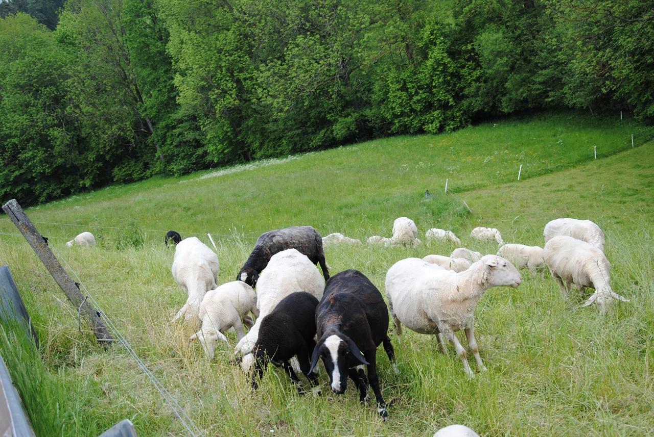 Landgasthof Seyrlberg Reichenau im Mühlkreis エクステリア 写真